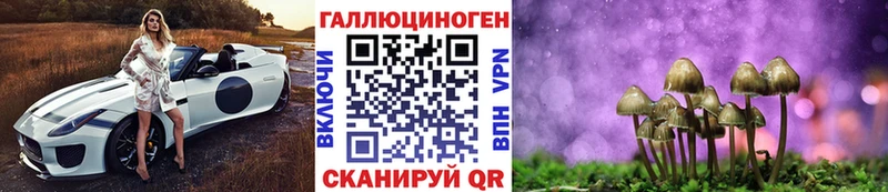 Галлюциногенные грибы Cubensis наркотики Кропоткин